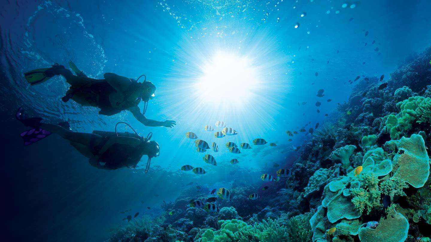 海底潜水深探，探索神秘的海底世界宝藏的简单介绍