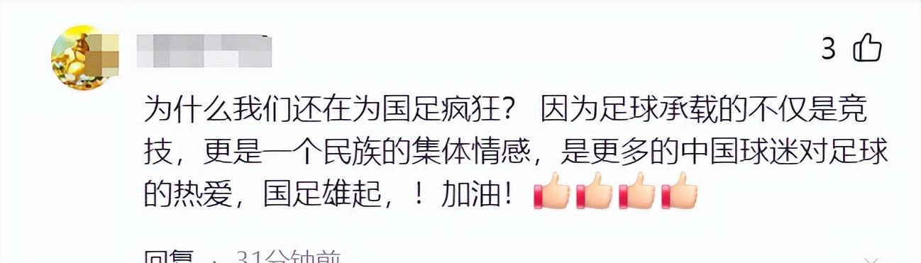 球迷故事：那些陪伴球队走过的重要时刻的简单介绍